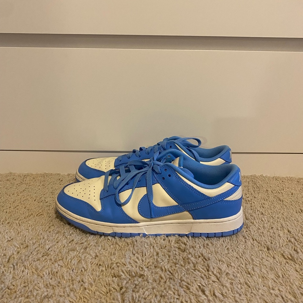Low top nike dunk